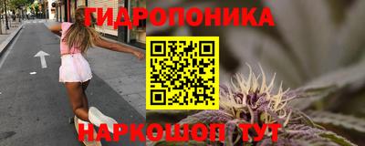mdpv Заводоуковск