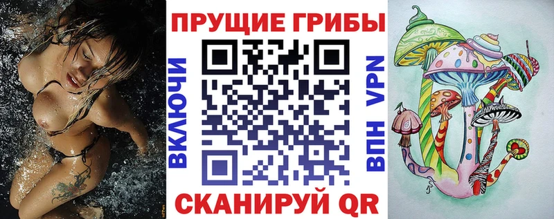 Псилоцибиновые грибы GOLDEN TEACHER  кракен ONION  Калач-на-Дону 
