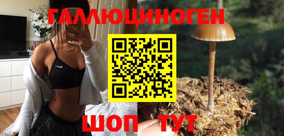 Галлюциногенные грибы Cubensis  Вход с VPN  Калач-на-Дону  Галлюциногенные грибы Cubensis 