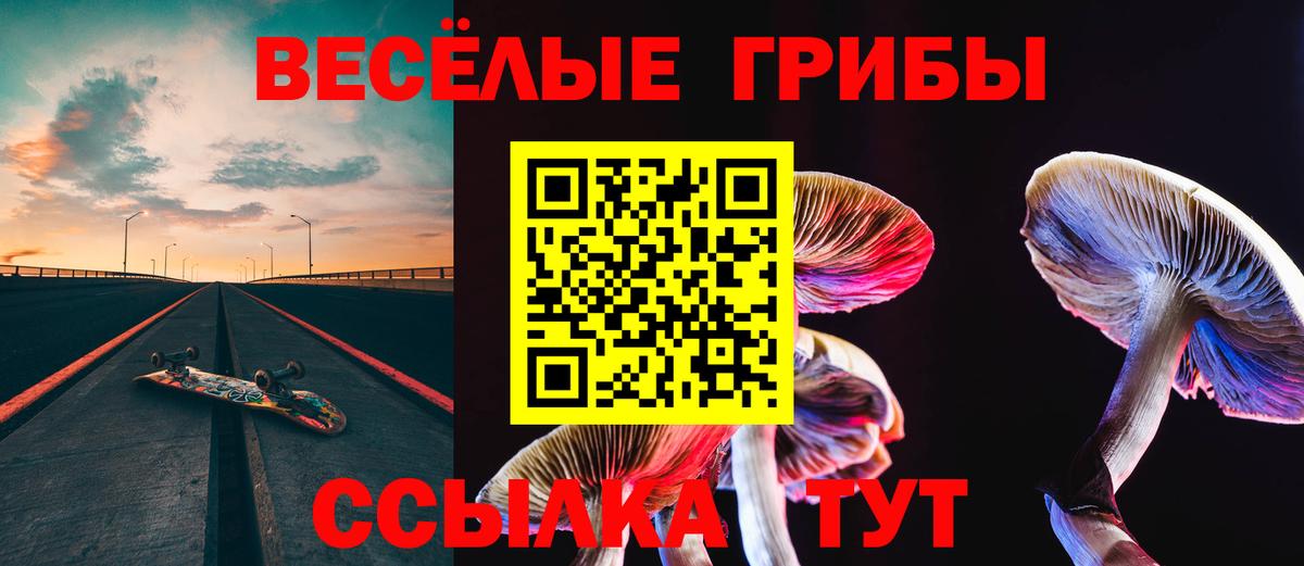 Псилоцибиновые грибы Cubensis Калач-на-Дону